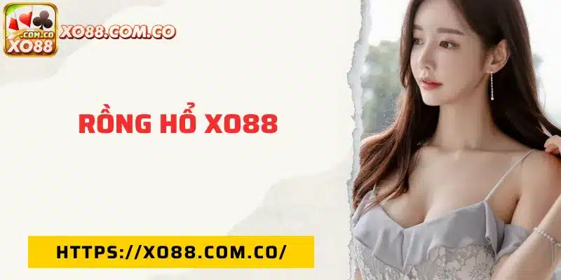 Rồng hổ XO88