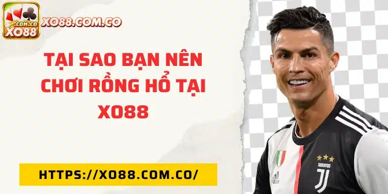 tại sao bạn nên chơi rồng hổ tại XO88